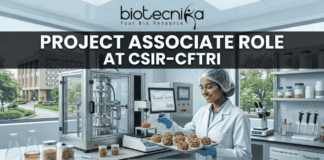 Urgent Hiring: Project Associate Role at CSIR-CFTRI | MSc Food Science Job 2026! Project Associate Role at CSIR-CFTRI. A realistic, wide featured image of a dynamic food technology lab at a prestigious research campus. A young female scientist meticulously works on advanced machinery and nutrient-dense food prototypes. Bold white text at the top states "PROJECT ASSOCIATE ROLE" followed by "AT CSIR-CFTRI". The full biotecnika logo is also at the top center, and a green button at the bottom reads "Apply now".