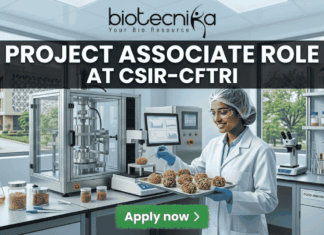 Urgent Hiring: Project Associate Role at CSIR-CFTRI | MSc Food Science Job 2026! Project Associate Role at CSIR-CFTRI. A realistic, wide featured image of a dynamic food technology lab at a prestigious research campus. A young female scientist meticulously works on advanced machinery and nutrient-dense food prototypes. Bold white text at the top states "PROJECT ASSOCIATE ROLE" followed by "AT CSIR-CFTRI". The full biotecnika logo is also at the top center, and a green button at the bottom reads "Apply now".