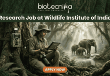 Wildlife Institute of India Recruitment 2026 | Multiple Research Jobs for Life Science Graduates! A job advertisement banner from biotecnika, featuring the text "biotecnika Your Bio Resource" and a large header "Research Job at Wildlife Institute of India." The main visual is a female researcher in a field outfit, sitting between large jungle trees and looking at a tablet. A camera trap is mounted on a tree next to her, and a family of elephants is seen in the background near a stream. An 'APPLY NOW' button is at the bottom.