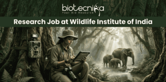 Wildlife Institute of India Recruitment 2026 | Multiple Research Jobs for Life Science Graduates! A job advertisement banner from biotecnika, featuring the text "biotecnika Your Bio Resource" and a large header "Research Job at Wildlife Institute of India." The main visual is a female researcher in a field outfit, sitting between large jungle trees and looking at a tablet. A camera trap is mounted on a tree next to her, and a family of elephants is seen in the background near a stream. An 'APPLY NOW' button is at the bottom.