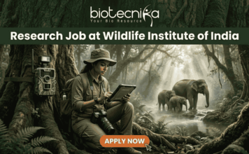Wildlife Institute of India Recruitment 2026 | Multiple Research Jobs for Life Science Graduates! A job advertisement banner from biotecnika, featuring the text "biotecnika Your Bio Resource" and a large header "Research Job at Wildlife Institute of India." The main visual is a female researcher in a field outfit, sitting between large jungle trees and looking at a tablet. A camera trap is mounted on a tree next to her, and a family of elephants is seen in the background near a stream. An 'APPLY NOW' button is at the bottom.