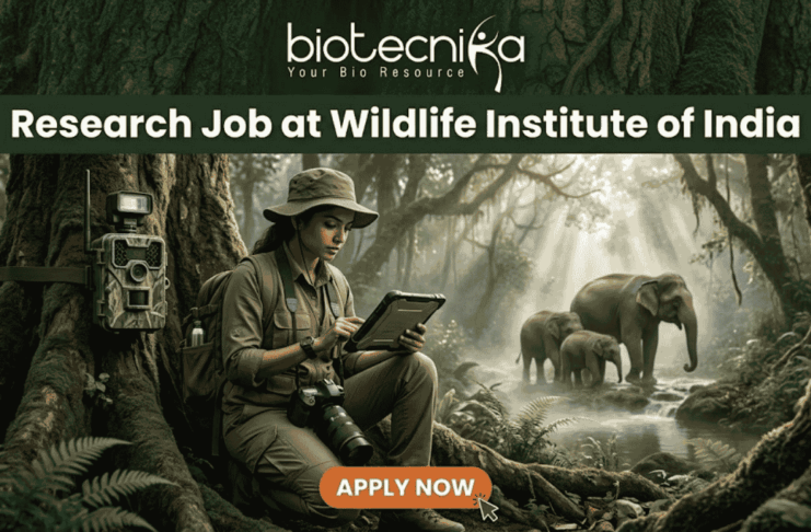 Wildlife Institute of India Recruitment 2026 | Multiple Research Jobs for Life Science Graduates! A job advertisement banner from biotecnika, featuring the text "biotecnika Your Bio Resource" and a large header "Research Job at Wildlife Institute of India." The main visual is a female researcher in a field outfit, sitting between large jungle trees and looking at a tablet. A camera trap is mounted on a tree next to her, and a family of elephants is seen in the background near a stream. An 'APPLY NOW' button is at the bottom.