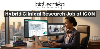 Hybrid Clinical Research Job at ICON | Life Science Graduates Must Apply! A job advertisement banner from Biotecnika for a Clinical Research position at ICON. The top center features the "biotecnika" logo with the tagline "Your Bio Resource". Below the logo, a prominent dark grey bar contains the large, bold white text headline: "Hybrid Clinical Research Job at ICON". The main visual is a detailed, realistic illustrative scene of a professional woman in a blazer and headphones seated at a desk with an office cityscape in the background. She is looking at three computer monitors: one showing a "Global Trial Management" data dashboard, another showing a live video conference with a team (labeled "Team Check-in - Remote Site"), and the third is a laptop. Objects on the desk include a coffee mug that reads "COFFEE & CLINICAL DATA", a stack of "Good Clinical Practice Guide" books, and vials. At the bottom center, a pulsing teal-colored rounded rectangular button with white text reads "APPLY NOW".