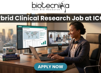 Hybrid Clinical Research Job at ICON | Life Science Graduates Must Apply! Hybrid Clinical Research Job at ICON | Life Science Graduates Must Apply! A job advertisement banner from Biotecnika for a Clinical Research position at ICON. The top center features the "biotecnika" logo with the tagline "Your Bio Resource". Below the logo, a prominent dark grey bar contains the large, bold white text headline: "Hybrid Clinical Research Job at ICON". The main visual is a detailed, realistic illustrative scene of a professional woman in a blazer and headphones seated at a desk with an office cityscape in the background. She is looking at three computer monitors: one showing a "Global Trial Management" data dashboard, another showing a live video conference with a team (labeled "Team Check-in - Remote Site"), and the third is a laptop. Objects on the desk include a coffee mug that reads "COFFEE & CLINICAL DATA", a stack of "Good Clinical Practice Guide" books, and vials. At the bottom center, a pulsing teal-colored rounded rectangular button with white text reads "APPLY NOW".