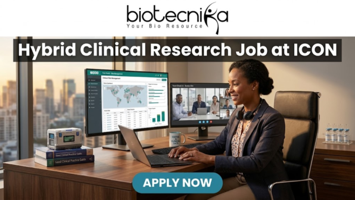 Hybrid Clinical Research Job at ICON | Life Science Graduates Must Apply! Hybrid Clinical Research Job at ICON | Life Science Graduates Must Apply! A job advertisement banner from Biotecnika for a Clinical Research position at ICON. The top center features the "biotecnika" logo with the tagline "Your Bio Resource". Below the logo, a prominent dark grey bar contains the large, bold white text headline: "Hybrid Clinical Research Job at ICON". The main visual is a detailed, realistic illustrative scene of a professional woman in a blazer and headphones seated at a desk with an office cityscape in the background. She is looking at three computer monitors: one showing a "Global Trial Management" data dashboard, another showing a live video conference with a team (labeled "Team Check-in - Remote Site"), and the third is a laptop. Objects on the desk include a coffee mug that reads "COFFEE & CLINICAL DATA", a stack of "Good Clinical Practice Guide" books, and vials. At the bottom center, a pulsing teal-colored rounded rectangular button with white text reads "APPLY NOW".