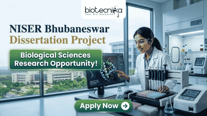 NISER Bhubaneswar Dissertation Project 2026 Corporate-style recruitment banner for NISER Bhubaneswar Dissertation Project. The image features a female scientist in a lab coat interacting with a protein structure on a monitor. Text includes "Biological Sciences Research Opportunity!" and the Biotecnika logo, with a green "Apply Now" button at the bottom.