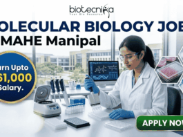 ₹61,000 Salary Molecular Biology Job at MAHE Manipal | Apply Now! ₹61,000 Salary Molecular Biology Job at MAHE Manipal | Apply. A professional recruitment banner from Biotecnika for a "Molecular Biology Job at MAHE Manipal." The image features a female scientist in a lab coat and safety glasses, meticulously using a multichannel pipette at a well-equipped laboratory bench. The banner prominently highlights the text "Earn Upto ₹61,000 Salary." and includes other text elements like "biotecnika" and "MOLECULAR BIOLOGY JOB at MAHE Manipal." In the background, other lab instruments, computer monitors displaying biological data, and a modern university campus through the windows are visible. Icons for a pipette, a DNA helix, and a multiwell plate, along with hexagonal frames showing biological research images, represent the drug research theme. A large, green, glowing "APPLY NOW" button is in the bottom right corner.