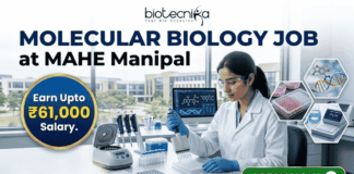 ₹61,000 Salary Molecular Biology Job at MAHE Manipal | Apply Now! ₹61,000 Salary Molecular Biology Job at MAHE Manipal | Apply. A professional recruitment banner from Biotecnika for a "Molecular Biology Job at MAHE Manipal." The image features a female scientist in a lab coat and safety glasses, meticulously using a multichannel pipette at a well-equipped laboratory bench. The banner prominently highlights the text "Earn Upto ₹61,000 Salary." and includes other text elements like "biotecnika" and "MOLECULAR BIOLOGY JOB at MAHE Manipal." In the background, other lab instruments, computer monitors displaying biological data, and a modern university campus through the windows are visible. Icons for a pipette, a DNA helix, and a multiwell plate, along with hexagonal frames showing biological research images, represent the drug research theme. A large, green, glowing "APPLY NOW" button is in the bottom right corner.