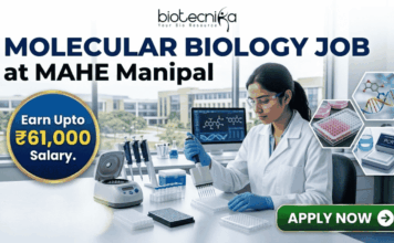 ₹61,000 Salary Molecular Biology Job at MAHE Manipal | Apply Now! ₹61,000 Salary Molecular Biology Job at MAHE Manipal | Apply. A professional recruitment banner from Biotecnika for a "Molecular Biology Job at MAHE Manipal." The image features a female scientist in a lab coat and safety glasses, meticulously using a multichannel pipette at a well-equipped laboratory bench. The banner prominently highlights the text "Earn Upto ₹61,000 Salary." and includes other text elements like "biotecnika" and "MOLECULAR BIOLOGY JOB at MAHE Manipal." In the background, other lab instruments, computer monitors displaying biological data, and a modern university campus through the windows are visible. Icons for a pipette, a DNA helix, and a multiwell plate, along with hexagonal frames showing biological research images, represent the drug research theme. A large, green, glowing "APPLY NOW" button is in the bottom right corner.
