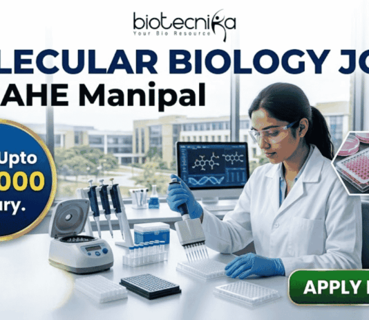 ₹61,000 Salary Molecular Biology Job at MAHE Manipal | Apply Now! ₹61,000 Salary Molecular Biology Job at MAHE Manipal | Apply. A professional recruitment banner from Biotecnika for a "Molecular Biology Job at MAHE Manipal." The image features a female scientist in a lab coat and safety glasses, meticulously using a multichannel pipette at a well-equipped laboratory bench. The banner prominently highlights the text "Earn Upto ₹61,000 Salary." and includes other text elements like "biotecnika" and "MOLECULAR BIOLOGY JOB at MAHE Manipal." In the background, other lab instruments, computer monitors displaying biological data, and a modern university campus through the windows are visible. Icons for a pipette, a DNA helix, and a multiwell plate, along with hexagonal frames showing biological research images, represent the drug research theme. A large, green, glowing "APPLY NOW" button is in the bottom right corner.