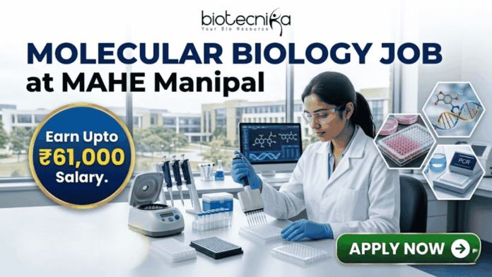 ₹61,000 Salary Molecular Biology Job at MAHE Manipal | Apply ₹61,000 Salary Molecular Biology Job at MAHE Manipal | Apply. A professional recruitment banner from Biotecnika for a "Molecular Biology Job at MAHE Manipal." The image features a female scientist in a lab coat and safety glasses, meticulously using a multichannel pipette at a well-equipped laboratory bench. The banner prominently highlights the text "Earn Upto ₹61,000 Salary." and includes other text elements like "biotecnika" and "MOLECULAR BIOLOGY JOB at MAHE Manipal." In the background, other lab instruments, computer monitors displaying biological data, and a modern university campus through the windows are visible. Icons for a pipette, a DNA helix, and a multiwell plate, along with hexagonal frames showing biological research images, represent the drug research theme. A large, green, glowing "APPLY NOW" button is in the bottom right corner.