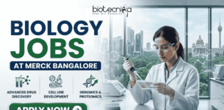 Biology Jobs at Merck in Bangalore | Apply Before It’s Gone Biology Jobs at Merck in Bangalore | Apply Before It's Gone. A Biotecnika recruitment banner advertising 'Biology Jobs' at 'Merck Bangalore.' On the right, a detailed photograph of a female scientist in a lab coat, safety glasses, and gloves meticulousy pipetting into a multi-well plate in a modern laboratory. The window behind her reveals a modern cityscape (Bangalore). The main text 'BIOLOGY JOBS' is stacked in large green and blue fonts, with 'AT MERCK BANGALORE' in a blue bar below it. Below the text, three circular icons with descriptive text list focus areas: 'ADVANCED DRUG DISCOVERY,' 'CELL LINE DEVELOPMENT,' and 'GENOMICS & PROTEOMICS.' The Biotecnika logo is in the top corner, and a prominent green 'APPLY NOW' button with a right arrow is at the bottom-left.