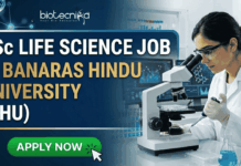 BSc Life Science Job at Banaras Hindu University | Golden Opportunity for Life Science Graduates BSc Life Science Job at Banaras Hindu University | Apply Now. A professional featured image for a "BSc LIFE SCIENCE JOB at BANARAS HINDU UNIVERSITY (BHU)." The image depicts a female scientist in a white lab coat and safety goggles using a microscope and pipette in a modern laboratory. The Biotecnika logo is at the top center, and a bright green "APPLY NOW" button with a cursor icon is at the bottom left. The background features scientific data on monitors, laboratory glassware with colorful liquids, and a DNA helix graphic.