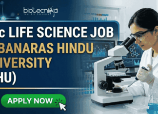 BSc Life Science Job at Banaras Hindu University | Golden Opportunity for Life Science Graduates BSc Life Science Job at Banaras Hindu University | Apply Now. A professional featured image for a "BSc LIFE SCIENCE JOB at BANARAS HINDU UNIVERSITY (BHU)." The image depicts a female scientist in a white lab coat and safety goggles using a microscope and pipette in a modern laboratory. The Biotecnika logo is at the top center, and a bright green "APPLY NOW" button with a cursor icon is at the bottom left. The background features scientific data on monitors, laboratory glassware with colorful liquids, and a DNA helix graphic.