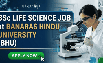 BSc Life Science Job at Banaras Hindu University | Golden Opportunity for Life Science Graduates BSc Life Science Job at Banaras Hindu University | Apply Now. A professional featured image for a "BSc LIFE SCIENCE JOB at BANARAS HINDU UNIVERSITY (BHU)." The image depicts a female scientist in a white lab coat and safety goggles using a microscope and pipette in a modern laboratory. The Biotecnika logo is at the top center, and a bright green "APPLY NOW" button with a cursor icon is at the bottom left. The background features scientific data on monitors, laboratory glassware with colorful liquids, and a DNA helix graphic.