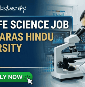 BSc Life Science Job at Banaras Hindu University | Golden Opportunity for Life Science Graduates BSc Life Science Job at Banaras Hindu University | Apply Now. A professional featured image for a "BSc LIFE SCIENCE JOB at BANARAS HINDU UNIVERSITY (BHU)." The image depicts a female scientist in a white lab coat and safety goggles using a microscope and pipette in a modern laboratory. The Biotecnika logo is at the top center, and a bright green "APPLY NOW" button with a cursor icon is at the bottom left. The background features scientific data on monitors, laboratory glassware with colorful liquids, and a DNA helix graphic.