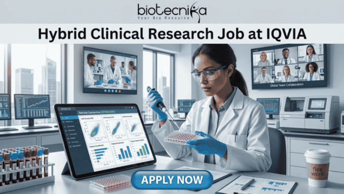Hybrid Clinical Research Job at IQVIA Opening for Life Science Graduates! A promotional graphic titled "Hybrid Clinical Research Job at IQVIA" at the top center, just below the biotecnika logo. The central image is a female researcher in a lab coat, nitrile gloves, and safety glasses, focused on carefully using a pipette on a multi-well plate. To her left is a large tablet displaying various clinical research charts and data plots. To her right is a paper titled "Remote Connection" and a coffee cup with a sleeve that reads "flex work". Large screens in the background show other scientists collaborating and a multi-person video conference call with a diverse team under the title "Global Team Collaboration". A centrifuge and other lab equipment are visible in the background. A prominent blue button at the bottom center reads "APPLY NOW".