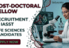 Applications Invited For Post-Doctoral Fellow at IASST – Apply Now IASST Recruitment announced for Post-Doctoral Fellow positions in biotechnology, microbiology, nanoscience, and life sciences.