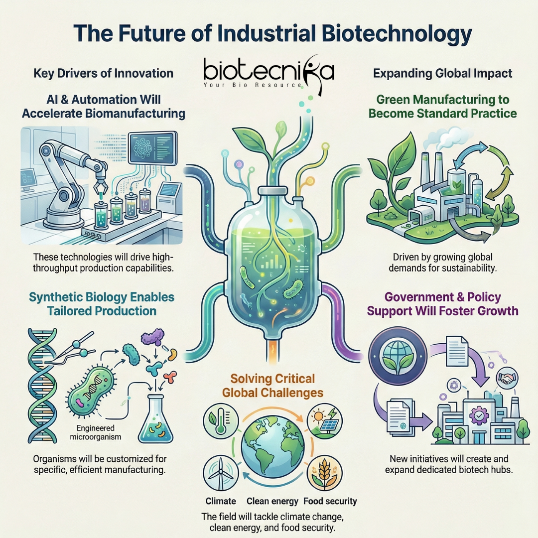 The Future of Industrial Biotechnology - Opportunities and Pathways
