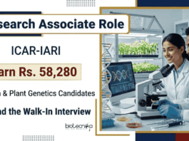 Apply for ICAR-IARI Recruitment: Research Associate Jobs in Biotechnology, Plant Breeding, and Genetics Research. Earn Rs. 58,280/- PM.