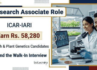 Apply for ICAR-IARI Recruitment: Research Associate Jobs in Biotechnology, Plant Breeding, and Genetics Research. Earn Rs. 58,280/- PM.