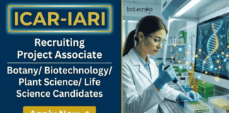 Life Sciences Research Jobs at ICAR-IARI | Apply Now for Project Associate Role ICAR IARI Recruitment Announced for Project Associate Jobs in Life Sciences Research. Apply Online Before 30 May 2026.
