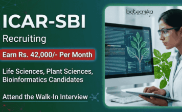 Young Professional Job at ICAR-SBI with Rs. 42,000/- Pay | Attend the Walk-In Apply for Young Professional Jobs under ICAR-SBI Recruitment. Life Sciences Career Aspirants can attend Written Test Cum Interview.
