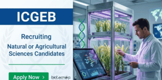 ICGEB Recruitment for Research Positions – Natural or Agricultural Sciences Apply Now Apply for ICGEB Recruitment 2026 Research Jobs in biotechnology and Agricultural Sciences under a DBT-funded project.