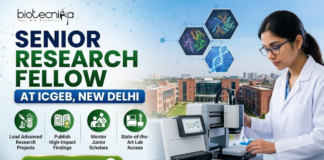 ICGEB New Delhi Hiring Senior Research Fellow | Work in Plant Molecular Biology Research ICGEB New Delhi Hiring Senior Research Fellow Work in Plant Molecular Biology Research. A professional recruitment banner for a "Senior Research Fellow at ICGEB, New Delhi," featuring the Biotecnika logo at the top left. On the right side, a female scientist in a white lab coat operates advanced automated laboratory equipment, with floating hexagonal graphics of protein structures and a DNA helix above her. The background displays a realistic, sunlit view of a modern research institute campus. The left side features the bold headline and four circular icons representing key roles: Lead Advanced Research Projects, Publish High-Impact Findings, Mentor Junior Scholars, and State-of-the-Art Lab Access. A prominent green "Apply Now" button with a white arrow is located at the bottom left.