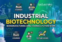 Industrial Biotechnology: Biomanufacturing Jobs, Courses & Future Scope Explore Industrial Biotechnology, Biomanufacturing Careers, Courses, Skills, & Future Scope with Industry-Ready Insights.