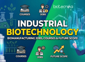 Industrial Biotechnology: Biomanufacturing Jobs, Courses & Future Scope Explore Industrial Biotechnology, Biomanufacturing Careers, Courses, Skills, & Future Scope with Industry-Ready Insights.