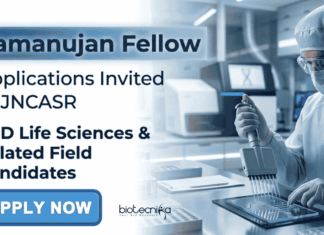 JNCASR Inviting Applications for Ramanujan Fellow | PhD Candidates Apply Apply for Ramanujan Fellow at JNCASR Recruitment. Explore Research in Life Sciences and Chemical Sciences. Check Eligibility and Apply Now.