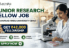 Junior Research Fellow Job at Banaras Hindu University | Get ₹42,000 Fellowship Junior Research Fellow Job at Banaras Hindu University Get ₹42,000 Fellowship. A corporate-style recruitment banner with a clean, attractive layout. At the top-left is the Biotecnika logo. The main text on the left reads 'JUNIOR RESEARCH FELLOW JOB' in large, bold dark green and blue text, with 'AT BANARAS HINDU UNIVERSITY (BHU)' below it. A prominent gold-framed graphic features a money bag with a rupee symbol and a stack of rupee bills, with large gold text above reading 'GET ₹42,000' and blue text below: 'FELLOWSHIP'. To the right, a young female researcher in a lab coat and safety glasses is seated at a lab bench, intently looking through a microscope at a multi-well plate. Below the main text on the left, three circular green icons describe benefits: a microscope for 'Advanced Projects', two figures with a mortarboard for 'Mentor Network', and a rising star-arrow for 'Unique Campus'. A large, rounded green 'APPLY NOW' button with a white right-pointing arrow is centered at the bottom. The overall design is corporate, realistic, and highly attractive.
