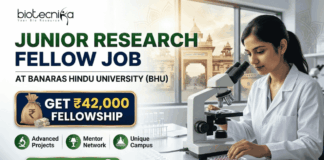 Junior Research Fellow Job at Banaras Hindu University | Get ₹42,000 Fellowship Junior Research Fellow Job at Banaras Hindu University Get ₹42,000 Fellowship. A corporate-style recruitment banner with a clean, attractive layout. At the top-left is the Biotecnika logo. The main text on the left reads 'JUNIOR RESEARCH FELLOW JOB' in large, bold dark green and blue text, with 'AT BANARAS HINDU UNIVERSITY (BHU)' below it. A prominent gold-framed graphic features a money bag with a rupee symbol and a stack of rupee bills, with large gold text above reading 'GET ₹42,000' and blue text below: 'FELLOWSHIP'. To the right, a young female researcher in a lab coat and safety glasses is seated at a lab bench, intently looking through a microscope at a multi-well plate. Below the main text on the left, three circular green icons describe benefits: a microscope for 'Advanced Projects', two figures with a mortarboard for 'Mentor Network', and a rising star-arrow for 'Unique Campus'. A large, rounded green 'APPLY NOW' button with a white right-pointing arrow is centered at the bottom. The overall design is corporate, realistic, and highly attractive.