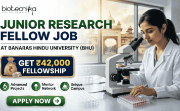 Junior Research Fellow Job at Banaras Hindu University | Get ₹42,000 Fellowship Junior Research Fellow Job at Banaras Hindu University Get ₹42,000 Fellowship. A corporate-style recruitment banner with a clean, attractive layout. At the top-left is the Biotecnika logo. The main text on the left reads 'JUNIOR RESEARCH FELLOW JOB' in large, bold dark green and blue text, with 'AT BANARAS HINDU UNIVERSITY (BHU)' below it. A prominent gold-framed graphic features a money bag with a rupee symbol and a stack of rupee bills, with large gold text above reading 'GET ₹42,000' and blue text below: 'FELLOWSHIP'. To the right, a young female researcher in a lab coat and safety glasses is seated at a lab bench, intently looking through a microscope at a multi-well plate. Below the main text on the left, three circular green icons describe benefits: a microscope for 'Advanced Projects', two figures with a mortarboard for 'Mentor Network', and a rising star-arrow for 'Unique Campus'. A large, rounded green 'APPLY NOW' button with a white right-pointing arrow is centered at the bottom. The overall design is corporate, realistic, and highly attractive.