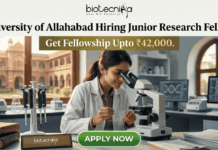 Junior Research Fellow Job at University of Allahabad | Get Fellowship Upto ₹42,000 Junior Research Fellow Job at University of Allahabad Get Fellowship Upto ₹42,000. A job advertisement graphic for University of Allahabad. The top has text: 'University of Allahabad Hiring Junior Research Fellow' and 'Get Fellowship Upto ₹42,000.' A central photo shows a woman in a lab coat using a microscope in a laboratory, with an old Indian university building visible through a window. A desk plaque reads 'NAM. SURIANDAH (GENERIC JRF)' and other lab equipment is present. A prominent green 'APPLY NOW' button is at the bottom center. The biotecnika logo is at the top center.