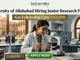 Junior Research Fellow Job at University of Allahabad Get Fellowship Upto ₹42,000. A job advertisement graphic for University of Allahabad. The top has text: 'University of Allahabad Hiring Junior Research Fellow' and 'Get Fellowship Upto ₹42,000.' A central photo shows a woman in a lab coat using a microscope in a laboratory, with an old Indian university building visible through a window. A desk plaque reads 'NAM. SURIANDAH (GENERIC JRF)' and other lab equipment is present. A prominent green 'APPLY NOW' button is at the bottom center. The biotecnika logo is at the top center.