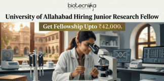 Junior Research Fellow Job at University of Allahabad | Get Fellowship Upto ₹42,000 Junior Research Fellow Job at University of Allahabad Get Fellowship Upto ₹42,000. A job advertisement graphic for University of Allahabad. The top has text: 'University of Allahabad Hiring Junior Research Fellow' and 'Get Fellowship Upto ₹42,000.' A central photo shows a woman in a lab coat using a microscope in a laboratory, with an old Indian university building visible through a window. A desk plaque reads 'NAM. SURIANDAH (GENERIC JRF)' and other lab equipment is present. A prominent green 'APPLY NOW' button is at the bottom center. The biotecnika logo is at the top center.