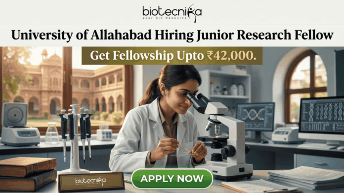 Junior Research Fellow Job at University of Allahabad Get Fellowship Upto ₹42,000 Junior Research Fellow Job at University of Allahabad Get Fellowship Upto ₹42,000. A job advertisement graphic for University of Allahabad. The top has text: 'University of Allahabad Hiring Junior Research Fellow' and 'Get Fellowship Upto ₹42,000.' A central photo shows a woman in a lab coat using a microscope in a laboratory, with an old Indian university building visible through a window. A desk plaque reads 'NAM. SURIANDAH (GENERIC JRF)' and other lab equipment is present. A prominent green 'APPLY NOW' button is at the bottom center. The biotecnika logo is at the top center.