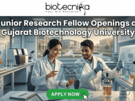 Junior Research Fellow at Gujarat Biotechnology University | 36K/ Month Fellowship Junior Research Fellow Openings at Gujarat Biotechnology University 36,000 Month Fellowship. A promotional banner for Junior Research Fellow openings at Gujarat Biotechnology University, presented by Biotecnika. Two smiling scientists in white lab coats are shown in a futuristic laboratory. The female scientist points to a holographic display featuring a DNA helix and specific details about DNA fingerprinting, genome editing success, DNA sequencing, research areas, and eligibility (M.Sc/M.Tech). Labeling in the background points to "Genome Engineering" and "Bioprocess Lab," and a coffee mug with "Caffeine & CRISPR" is visible. A prominent green "APPLY NOW" button is at the bottom center with a mouse pointer icon.