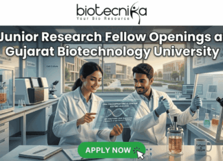 Junior Research Fellow Openings at Gujarat Biotechnology University 36,000 Month Fellowship. A promotional banner for Junior Research Fellow openings at Gujarat Biotechnology University, presented by Biotecnika. Two smiling scientists in white lab coats are shown in a futuristic laboratory. The female scientist points to a holographic display featuring a DNA helix and specific details about DNA fingerprinting, genome editing success, DNA sequencing, research areas, and eligibility (M.Sc/M.Tech). Labeling in the background points to "Genome Engineering" and "Bioprocess Lab," and a coffee mug with "Caffeine & CRISPR" is visible. A prominent green "APPLY NOW" button is at the bottom center with a mouse pointer icon.