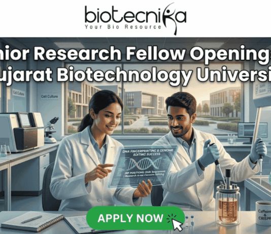 Junior Research Fellow at Gujarat Biotechnology University | 36K/ Month Fellowship Junior Research Fellow Openings at Gujarat Biotechnology University 36,000 Month Fellowship. A promotional banner for Junior Research Fellow openings at Gujarat Biotechnology University, presented by Biotecnika. Two smiling scientists in white lab coats are shown in a futuristic laboratory. The female scientist points to a holographic display featuring a DNA helix and specific details about DNA fingerprinting, genome editing success, DNA sequencing, research areas, and eligibility (M.Sc/M.Tech). Labeling in the background points to "Genome Engineering" and "Bioprocess Lab," and a coffee mug with "Caffeine & CRISPR" is visible. A prominent green "APPLY NOW" button is at the bottom center with a mouse pointer icon.
