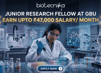 Junior Research Fellow at GBU Earn Upto ₹47,000 Salary Month. A job advertisement featuring a female researcher in a modern drug research lab, using a multi-channel pipette, surrounded by transparent screens displaying 3D molecular structures. Prominent text at the top reads: "JUNIOR RESEARCH FELLOW AT GBU", followed by a central banner stating: "EARN UPTO ₹47,000 SALARY/ MONTH". The biotecnika logo is at the very top, and a blue button at the bottom says: "APPLY NOW".