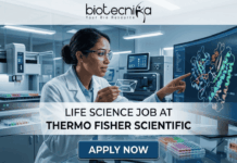 Latest Life Science Job at Thermo Fisher Scientific | Apply Online Here Latest Life Science Job at Thermo Fisher Scientific Apply Online Here. An advertisement for a Life Science Job at Thermo Fisher Scientific, featuring a female scientist in a laboratory pointing to a monitor displaying a molecular model of a protein-drug interaction. Text in the center reads: "LIFE SCIENCE JOB AT THERMO FISHER SCIENTIFIC". A blue button at the bottom says "APPLY NOW". The Biotecnika logo with the tagline "Your Bio Resource" is at the top. Microplates and other lab equipment are visible around her.