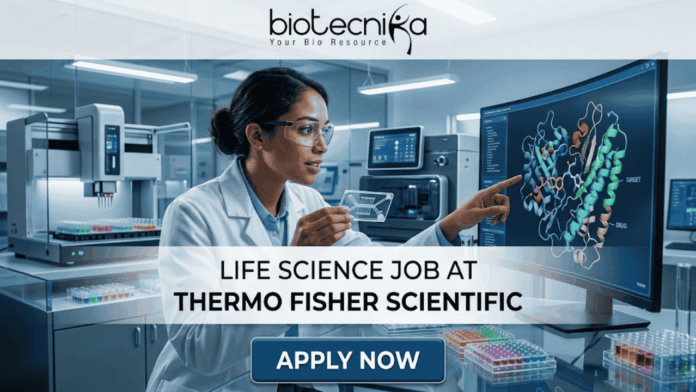 Latest Life Science Job at Thermo Fisher Scientific Apply Online Here Latest Life Science Job at Thermo Fisher Scientific Apply Online Here. An advertisement for a Life Science Job at Thermo Fisher Scientific, featuring a female scientist in a laboratory pointing to a monitor displaying a molecular model of a protein-drug interaction. Text in the center reads: "LIFE SCIENCE JOB AT THERMO FISHER SCIENTIFIC". A blue button at the bottom says "APPLY NOW". The Biotecnika logo with the tagline "Your Bio Resource" is at the top. Microplates and other lab equipment are visible around her.