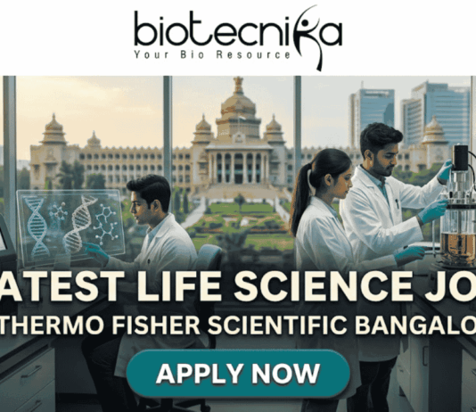 Latest Life Science Job at Thermo Fisher Scientific Bangalore Apply Online Here. An attractive job advertisement banner from Biotecnika, featuring three scientists in white lab coats actively working in a modern laboratory. In the background, visible through a large window, is the recognizable Vidhana Soudha building in Bengaluru. Prominent text overlay reads: "LATEST LIFE SCIENCE JOB at THERMO FISHER SCIENTIFIC BANGALORE". At the top is the Biotecnika logo, and at the bottom center is a "APPLY NOW" button. A "NEW OPENING" handshake badge is in the top right.