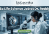 Latest MSc Life Science Job at Dr. Reddy’s | Apply Before Deadline! Latest MSc Life Science Job at Dr. Reddy's Apply Before Deadline!. An advertisement image for an MSc Life Science job at Dr. Reddy's, featuring a female scientist in a modern research lab examining a microscope. Monitors in the background display molecular models, graphs, and text including "DRUG-TARGET INTERACTION STUDY" and "PRESTIGIOUS CAREER PATH." At the top of the image is the headline "MSc Life Science Job at Dr. Reddy's" alongside the Biotecnika logo, and a green "APPLY NOW" button is at the bottom. Other lab staff and a world map are visible in the background.