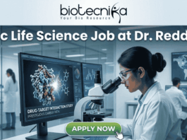 Latest MSc Life Science Job at Dr. Reddy's Apply Before Deadline!. An advertisement image for an MSc Life Science job at Dr. Reddy's, featuring a female scientist in a modern research lab examining a microscope. Monitors in the background display molecular models, graphs, and text including "DRUG-TARGET INTERACTION STUDY" and "PRESTIGIOUS CAREER PATH." At the top of the image is the headline "MSc Life Science Job at Dr. Reddy's" alongside the Biotecnika logo, and a green "APPLY NOW" button is at the bottom. Other lab staff and a world map are visible in the background.