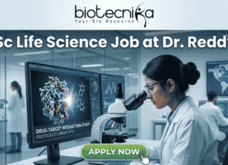 Latest MSc Life Science Job at Dr. Reddy's Apply Before Deadline!. An advertisement image for an MSc Life Science job at Dr. Reddy's, featuring a female scientist in a modern research lab examining a microscope. Monitors in the background display molecular models, graphs, and text including "DRUG-TARGET INTERACTION STUDY" and "PRESTIGIOUS CAREER PATH." At the top of the image is the headline "MSc Life Science Job at Dr. Reddy's" alongside the Biotecnika logo, and a green "APPLY NOW" button is at the bottom. Other lab staff and a world map are visible in the background.