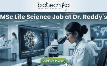 Latest MSc Life Science Job at Dr. Reddy’s | Apply Before Deadline! Latest MSc Life Science Job at Dr. Reddy's Apply Before Deadline!. An advertisement image for an MSc Life Science job at Dr. Reddy's, featuring a female scientist in a modern research lab examining a microscope. Monitors in the background display molecular models, graphs, and text including "DRUG-TARGET INTERACTION STUDY" and "PRESTIGIOUS CAREER PATH." At the top of the image is the headline "MSc Life Science Job at Dr. Reddy's" alongside the Biotecnika logo, and a green "APPLY NOW" button is at the bottom. Other lab staff and a world map are visible in the background.
